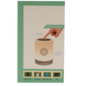 Touch Lamp & A Smart Speaker